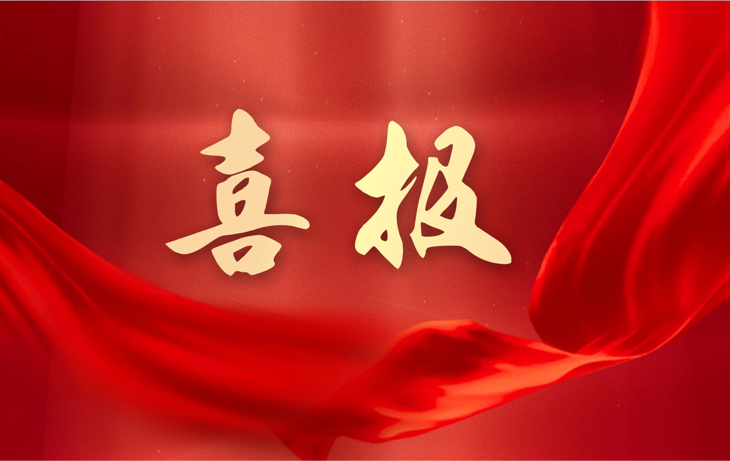 營收凈利雙增長！依頓電子2025年一季度經營業績續寫高質量發展華章